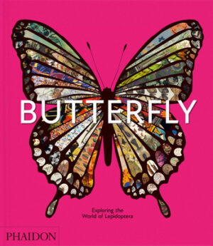 Butterfly: Exploring the World of Lepidoptera