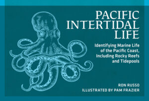 Pacific Intertidal Life: Identifying Marine Life of the Pacific Coast, Including Rocky Reefs and Tidepools