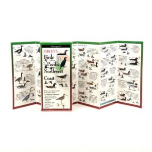 Sibley's Birds of Pacific NW Coast