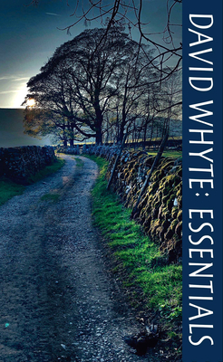 David Whyte Essentials
