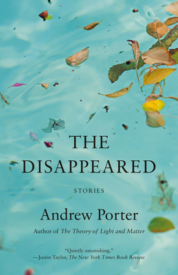 The Disappeared: Stories
